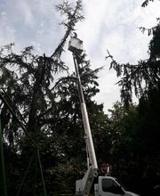 Services de Renovation M M image 9