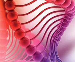 SODISPAN BIOTECH imagen 1