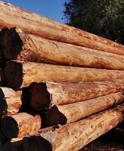 Holz & Bau Hollinger Bild 1