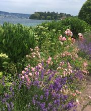 Gärtnerei Ziegler Samuel Bild 1