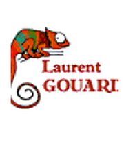 Monsieur Gouard Laurent image 4