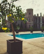 The Kentucky Castle image 20