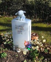 Honauer Philipp Bild 3