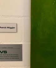 Praxis für Komplementär-Therapie Patrick Müggler Bild 6