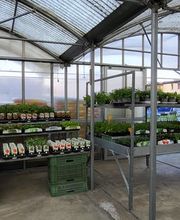 GIARDINI DOS SANTOS CANIÇO Bild 12