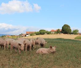 La Ferme En Croix Bild 3