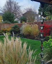 Cosme Cédric image 5