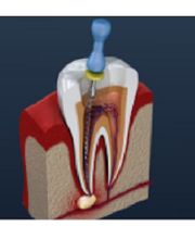 Drs. Jessica J. Johnston, DDS & Brent Charles Alexander, DDS image 14