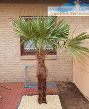 CariSSA Aparthotel / Ferienwohnung Bild 3