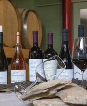 Gallery Professionale