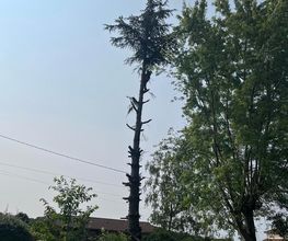 BCH Paysage image 19