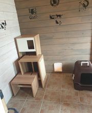 Patchou et Compagnie image 2