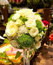 Blumengeschäft Blattmaus Bild 7