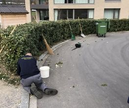 Aemmer Räumungen Bild 6