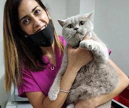 Centro Veterinario Maccauro immagine 6