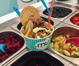 Eisbar MU Oldenburg Bild 14