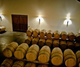 VIGNOBLES MARCEL PETIT image 2