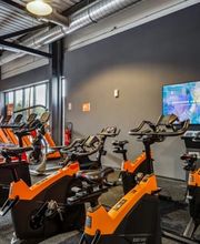 Basic-Fit 24/7 image 6