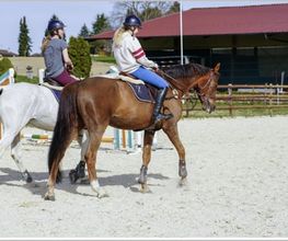 Manège du Mont Bild 1