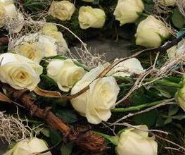 Blumen Dahlmann Bild 19