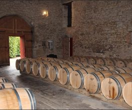 Château Haut Mayne image 2