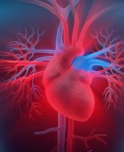 Dr méd. Schütz Nicolas Bild 1