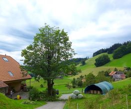 Baummensch GmbH Bild 2