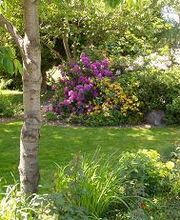 BB Gebäudereinigung AG Blitz Blank Bild 1