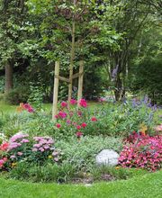 Schinkenmeyer Bestattungen Bild 4