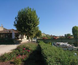 Scite Plaisance image 6