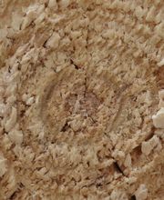 Scierie Tournier Fils image 7