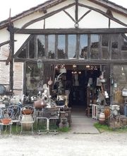 Dubois Nicole image 5