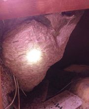 Ratoucy SAS image 17