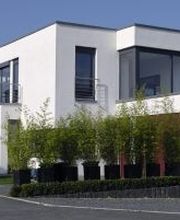 Brescon (Braun & Eßer Consulting) GbR Bild 1