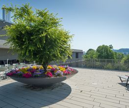 Alterszentrum Emmersberg Bild 2