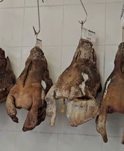 190511352-1-u82ub3sfAH1776353224505.jpeg