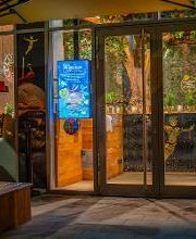 PETER PANE Burgergrill & Bar Bild 1