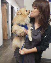 Thrive Pet Healthcare - Falcon image 1