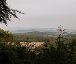 Einige Stellen im FriedWald Burg Plesse bieten einen tollen Ausblick auf die Landschaft.