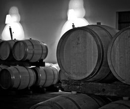 VIGNOBLES MARCEL PETIT image 4