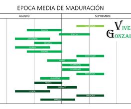 Viveros Gonzalo imagen 2