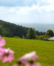 Pension Jodlbauer Bild 15