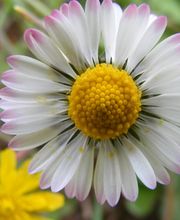 Conciergerie/Gérance de maison Haut Var image 10