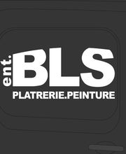 BLS image 12