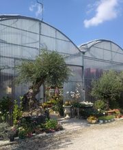 Les Jardins d'Elise Maison Lapierre image 3