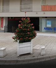 Allianz Bour Olivier image 1