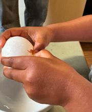 Kita Baselini Bild 11