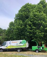 Elagage Gael Espaces Verts image 8