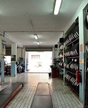 Gallery Cliente