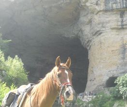Equiloisirs image 7
